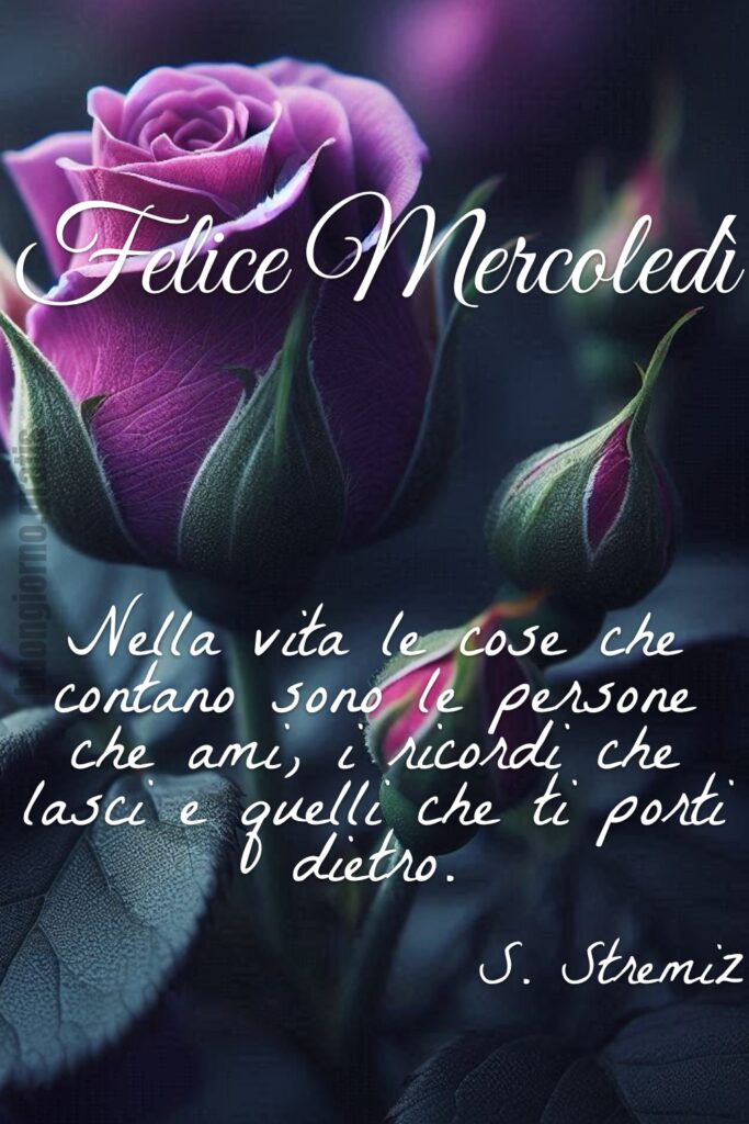 Per iniziare il Mercoledì con un buongiorno ed una frase bellissima!